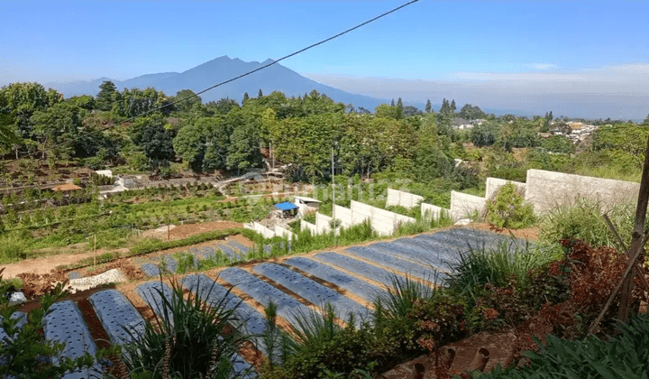 Tanah Kavling Villa Di Megamendung Puncak Bogor 1