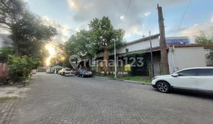 Disewakan Cepat Rumah Usaha Simpang Darmo Permai Selatan 1