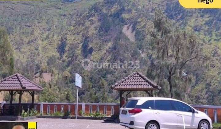 Hotel Sion View Bromo Lokasi Strategis Di Atas Lokasi Bawangan Bromo 1