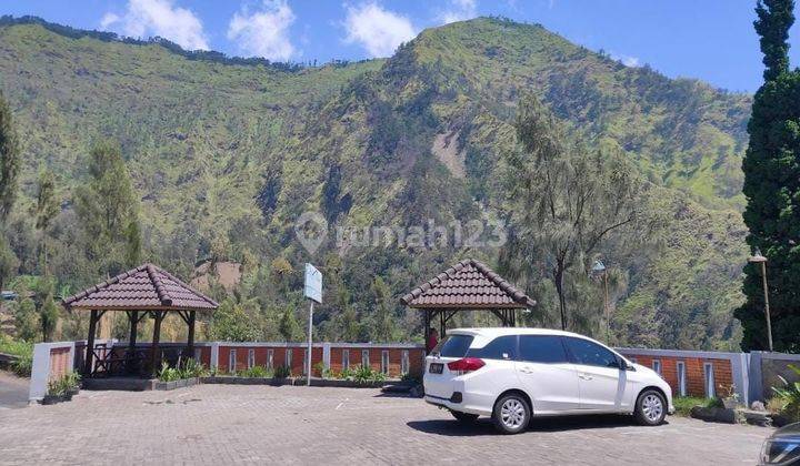 Hotel Sion View Bromo Lokasi Strategis Di Atas Lokasi Bawangan Bromo 2