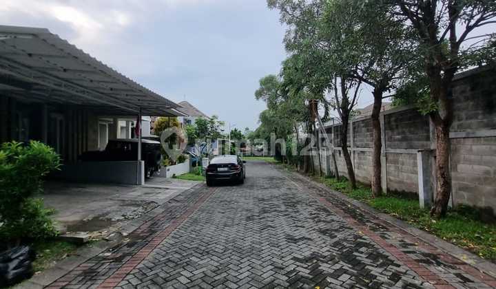 Disewakan Rumah Citraland Full Furnished Cluster Dekat Radial Road & Pasar Citraland 2