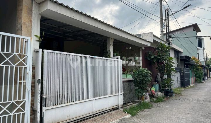 Minimalist Ready-to-Live House For Sale First in Wiyung Regency 1