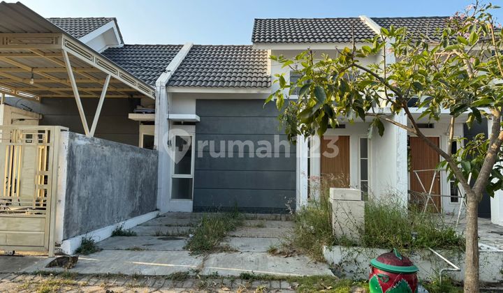 Disewakan Rumah New Gress Di Grand Surya Jayaland Sidoarjo 1