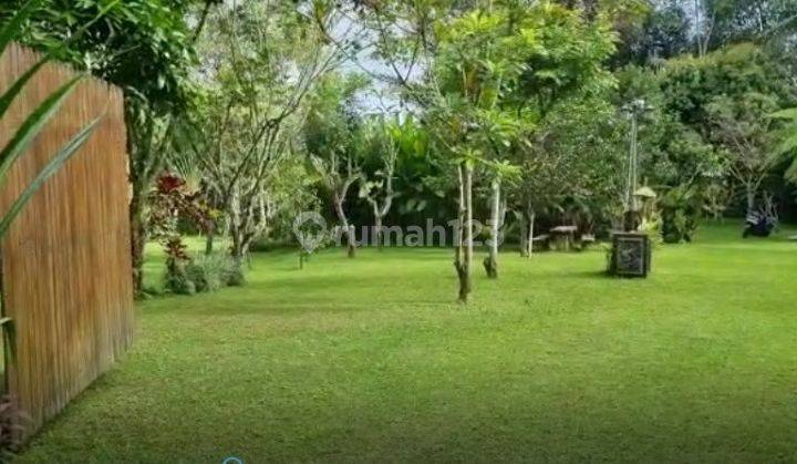 Villa Payangan Ada 3 Bangunan Bagus Dan Berhawa Dingin Strategis Di Gianyar Bali 2