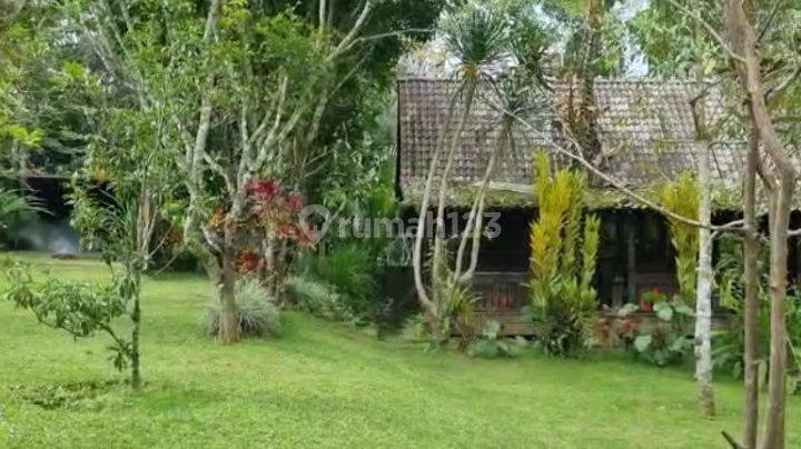 Villa Payangan Ada 3 Bangunan Bagus Dan Berhawa Dingin Strategis Di Gianyar Bali 3