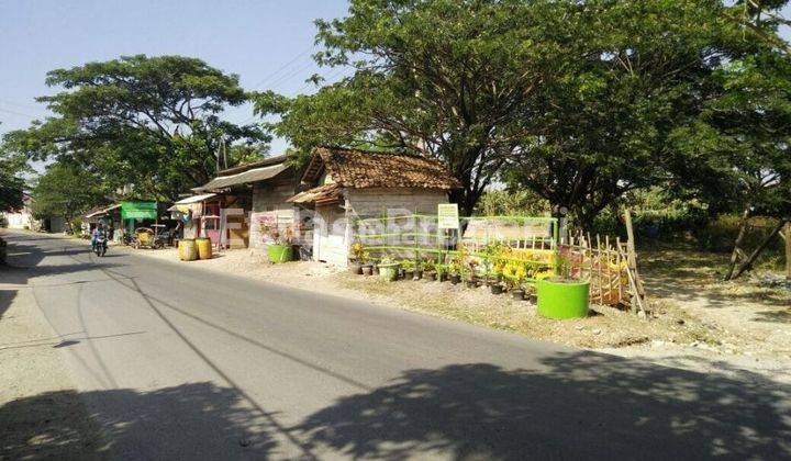 Dijual Tanah Zona Kuning Area Komersil Lokasi Sangat Strategis Di Pantura Lamongan 2