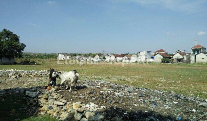 Dijual Tanah Zona Kuning Area Komersil Lokasi Sangat Strategis Di Pantura Lamongan 3