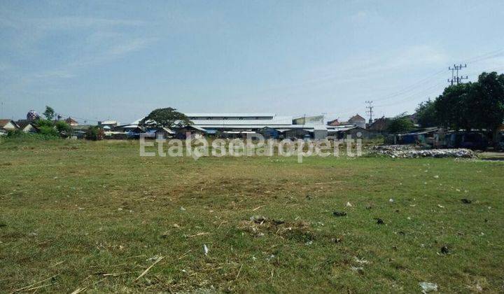 Dijual Tanah Zona Kuning Area Komersil Lokasi Sangat Strategis Di Pantura Lamongan 5