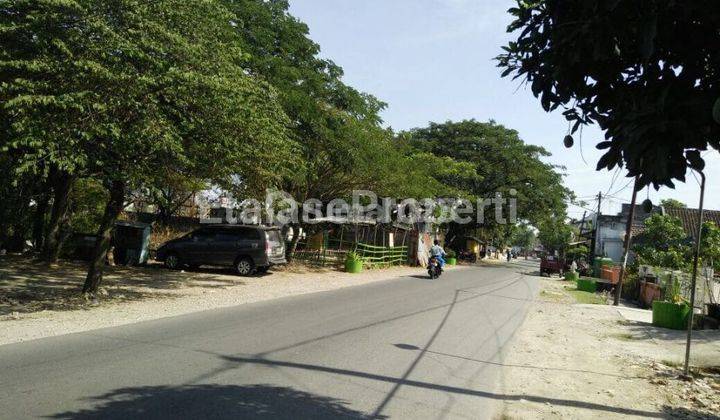 Dijual Tanah Zona Kuning Area Komersil Lokasi Sangat Strategis Di Pantura Lamongan 6