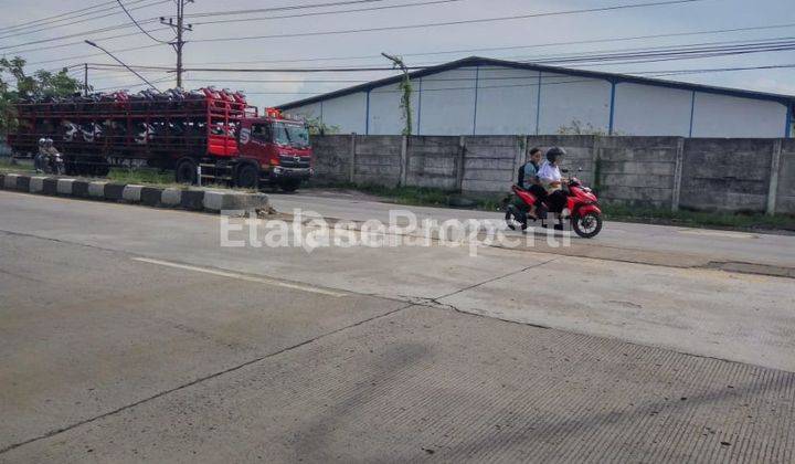 Dijual Gudang Di Pantura Tegal 2