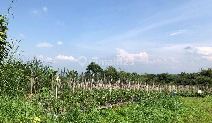 Tanah di Jl. Pondok Halimun Blok Warnasari Sukabumi SHM  3