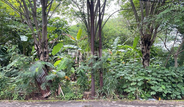 Dijual Kavling SHM!!! Uk.273 di Bumi Mas Raya Cikokol Tangerang Dijual Kavling SHM!!! Uk.273 di Bumi Mas Raya Cikokol Tangerang