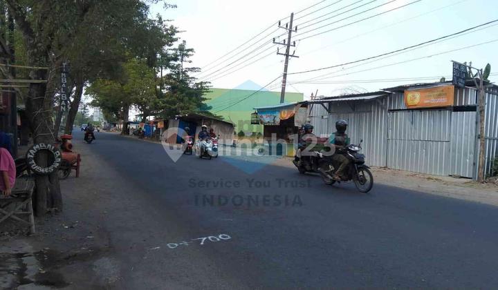 Tanah Komersial Nol Jalan Raya Bringkang Gresik
