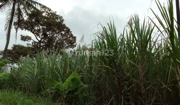 Tanah Komersial Hook Lokasi Bagus Strategis Raya Dampit Amadanom Malang 2