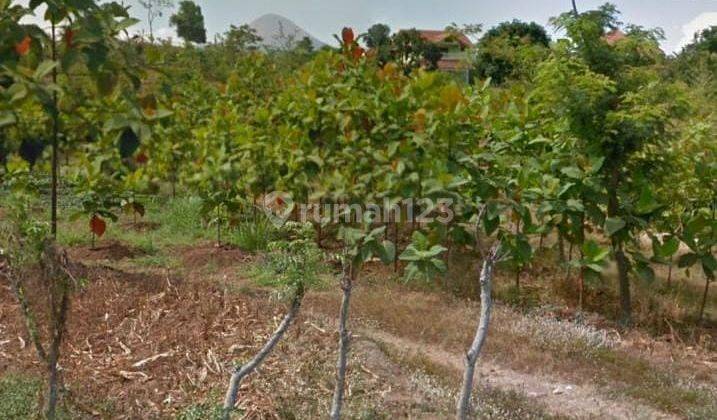 Kavling Tanah Siap Bangun Lokasi Bagus Komersial Area Raya Ledug Prigen Pasuruan 2