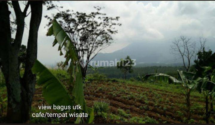 Kavling Komersial Cocok Untuk Wisata Dengan View Cantik Di Desa Cembor Mojokerto 2