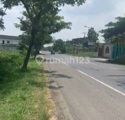 Tanah Ngantong Siap Bangun Daerah Industri Nol Jalan Raya Provinsi Babat Lamongan 2