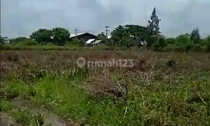 Tanah Siap Bangun Lokasi Bagus Strategis Di Kawasaan Zona Industri Widang Tuban 1