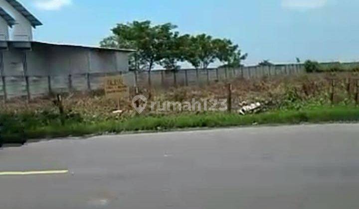 Tanah Siap Bangun Lokasi Bagus Strategis Di Kawasaan Zona Industri Widang Tuban 2