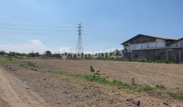 Tanah Siap Bangun Komersial Area Mastrip - Warugunung Tanah Siap Bangun Komersial Area Mastrip - Warugunung