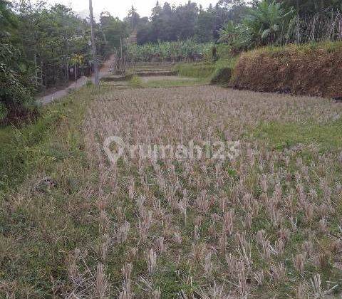 Dijual Tanah Strategis. Dekat Dengan Sari Ater Resort. Hanya 10 Menit  1