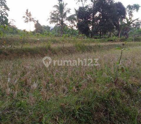 Dijual Tanah Strategis. Dekat Dengan Sari Ater Resort. Hanya 10 Menit  2