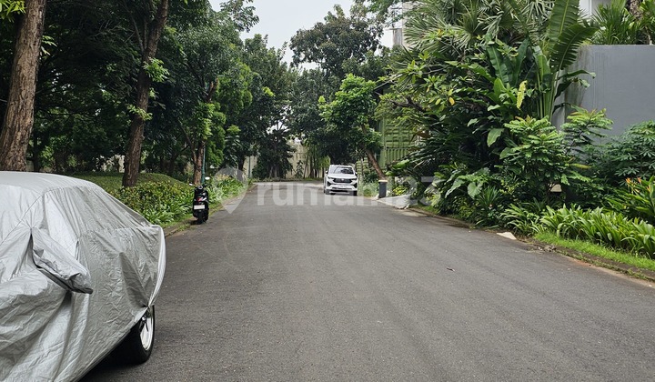 Rare Cheap Lots Orchard Kelapa Gading Jakarta