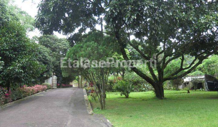  dijual Cepat Dan Murah Tanah Vila 0 Jalan Raya Trawas  4