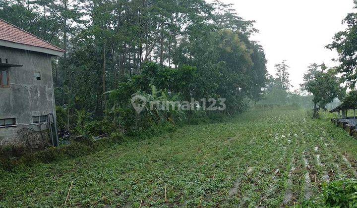Dijual Tanah Trawas Cocok Untuk Development 1