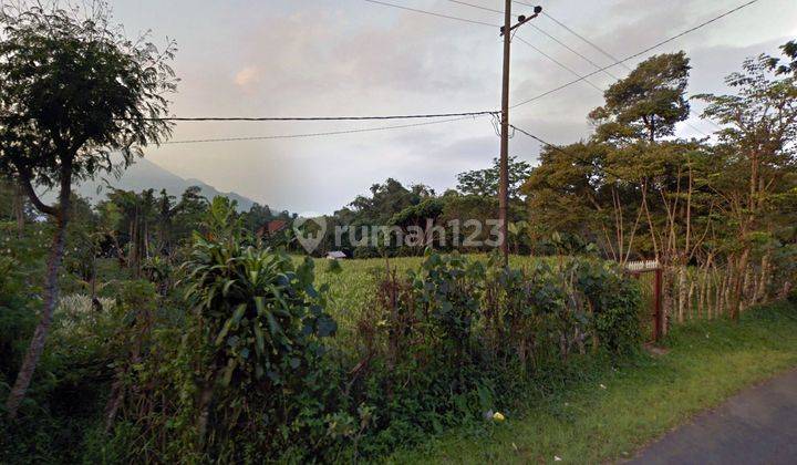  dijual Tanah 0 Jalan Raya Trawas  2