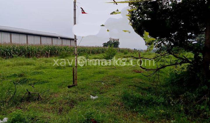 Tanah Di Nol Jalan Raya Tangunan Puri Mojokerto, Cocok Utk Usaha Spbu, Toserba, Rumah. Lingkungan Sudah Padat Pendiduk 1