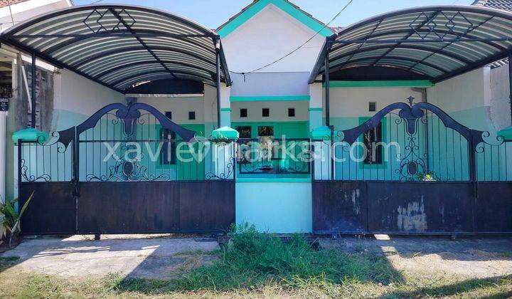 Rumah Lebar 8 Area Geluran Sidoarjo Jual Murah 1