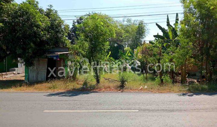 Tanah Murah Dijual Cepat Di Nol Jalan Raya Jetis Mojokerto 2