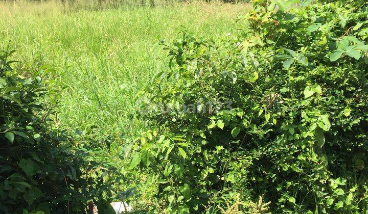 Dijual Cepat Tanah di Tajur Halang Citayam, Bogor Jun 2