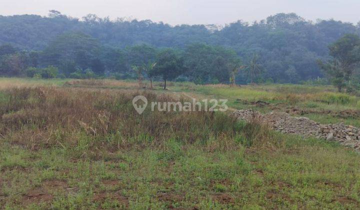  Tanah Pertanian Subur 10 Ha di Rumpin Rin  2