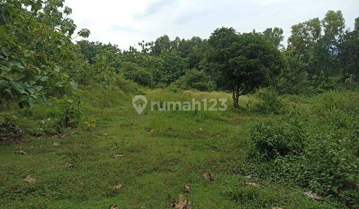 Dijual Tanah di Plesungan, Gondangrejo 1