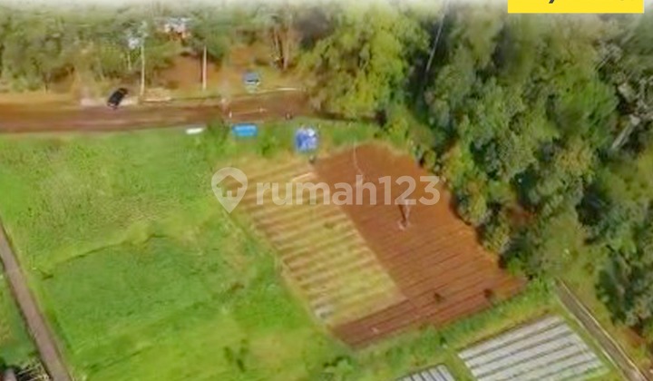 Land for Sale in Kemuning, Karanganyar