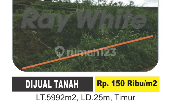 Di Jual Tanah di Tohokuning, Karangpandan