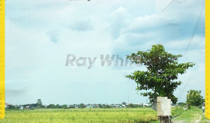 Land for Sale in Gedongan, Colomadu