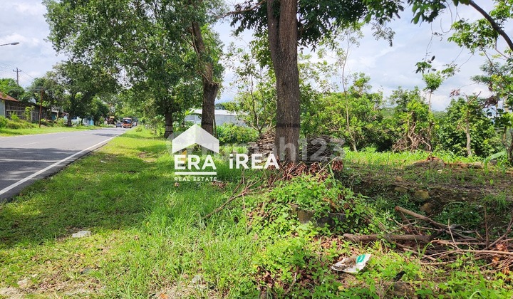 Tanah Murah Karangpandan Ada Mata Airnya Tanah Murah Karangpandan Ada Mata Airnya