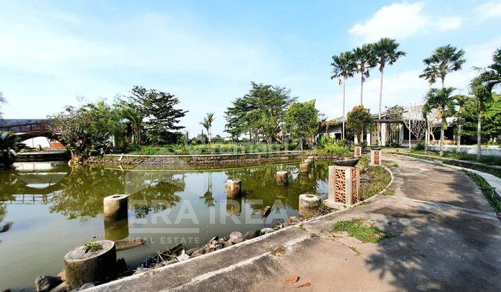 Jual Ruang Usaha Ex Resto di Banyudono, Boyolali Kota 6