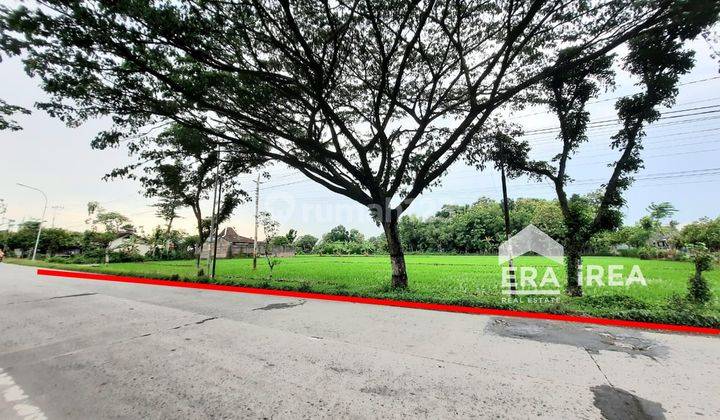 Jual Tanah Akses Kontainer di Miri, Sragen, Cocok Untuk Gudang 2