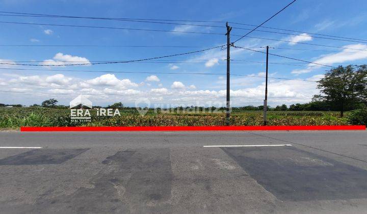 Jual Tanah Basah Zona Kuning di Jatinom, Mojosongo Boyolali 1