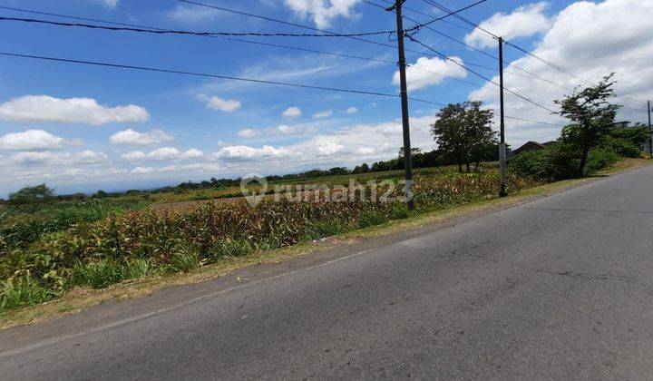 Jual Tanah Basah Zona Kuning di Jatinom, Mojosongo Boyolali 2