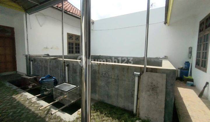 Jual Rumah Bagus 8 Kamar di Pajang, Laweyan, Solo 7