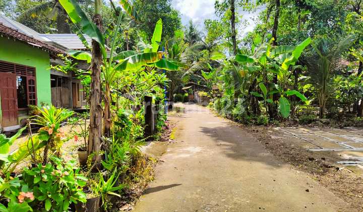Jual Rumah Murah Bantul Jogja di Srigading, Sanden 3