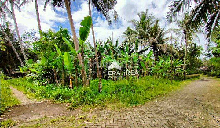Jual Tanah Sendangagung, Minggir, Sleman 1