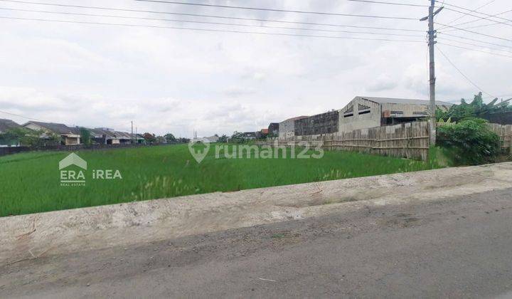 Dijual Tanah Murah Solo Dekat Indogrosir dan Luwes Palur Jaten 1