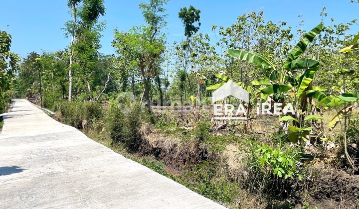 Tanah Dijual Murah di Solo Sambi Dekat Pintu Tol Banyudono