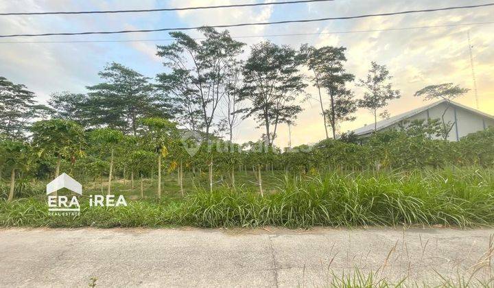 Tanah Dijual Boyolali Teras Zona Kuning  2